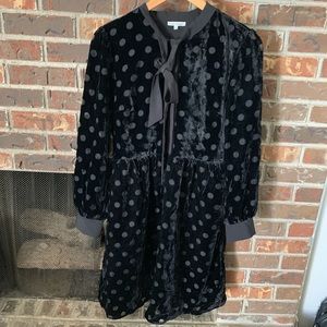 Lace & Mesh velvet polka dot dress